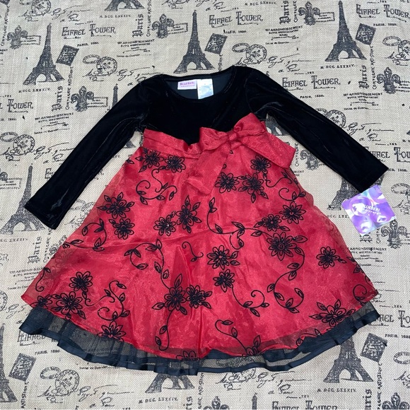 Blueberi Boulevard Other - Blueberi Boulevard NWT! Black/Red Floral Lace Long Sleeve Princess Dress Size 3T